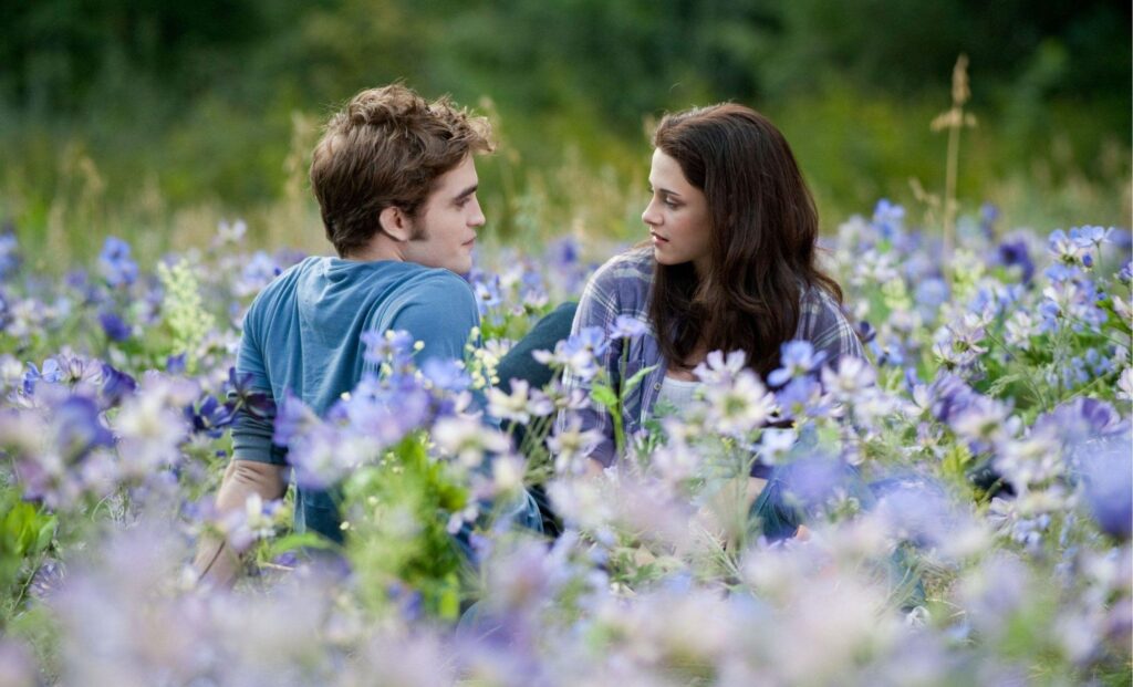 Twilight une nouvelle série est au programme !