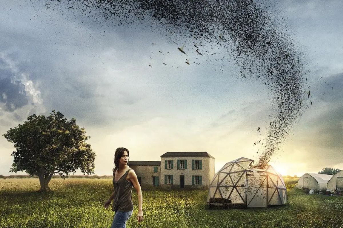La Nuée Un Drame Agricole Qui Vous Donnera Des Frissons Sur Netflix !
