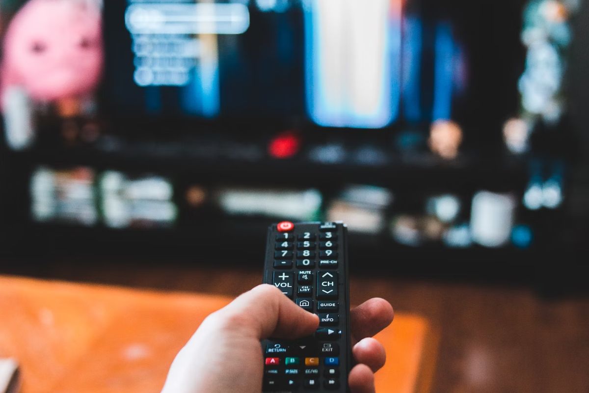Quelles Séries Prévues Par Les Plateformes De Streaming Pour 2024
