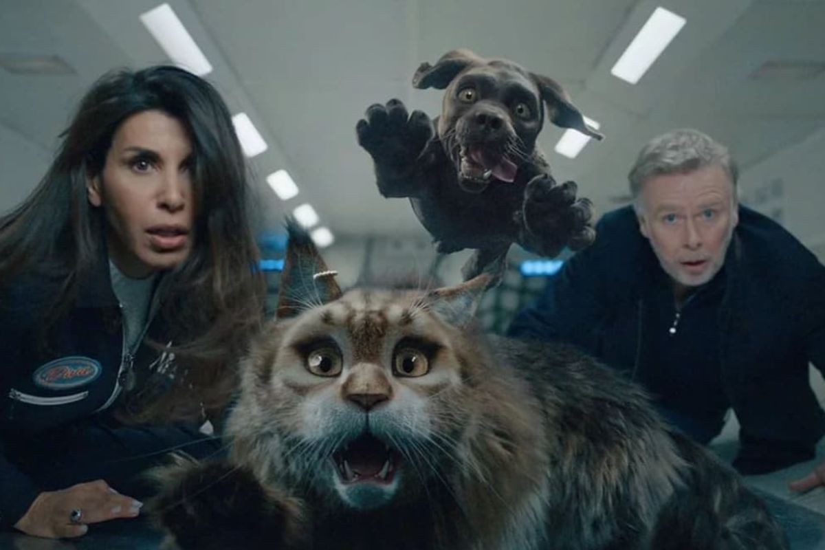 Cette Comédie Made In France Avec Inés Reg Fait Un Vrai Carton Sur Netflix !