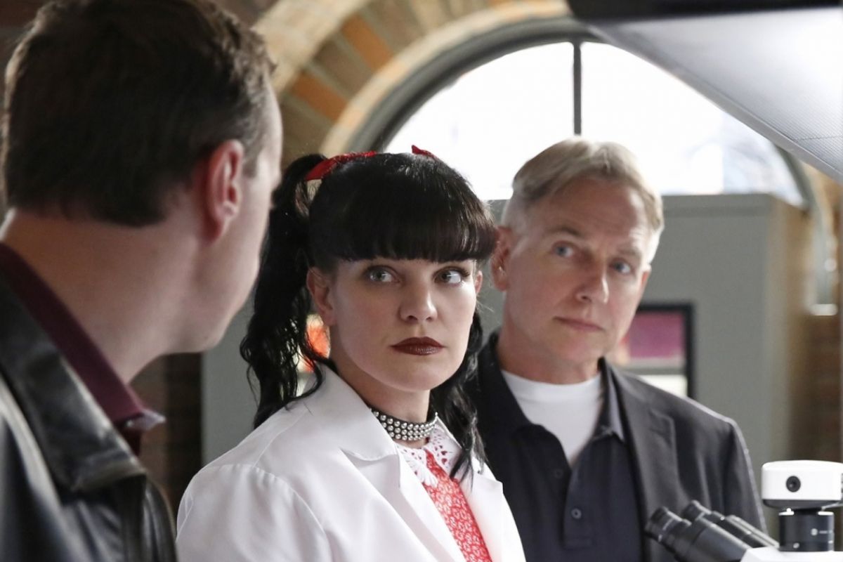 Ncis Une Fin En Vue Pour Ce Mastodonte De Cbs